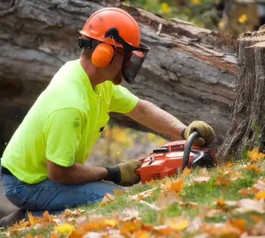 tree services Bennett